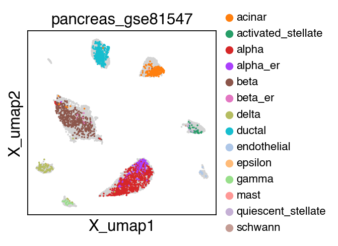 ../_images/tutorial_Projection_pancreas_43_3.png