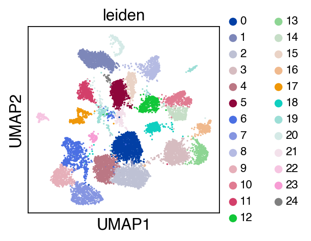 ../_images/tutorial_Integration_scATAC-seq_16_0.png