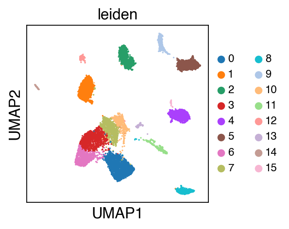 ../_images/tutorial_Integration_scATAC-seq_26_0.png