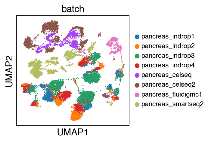 ../_images/tutorial_Projection_pancreas_17_0.png