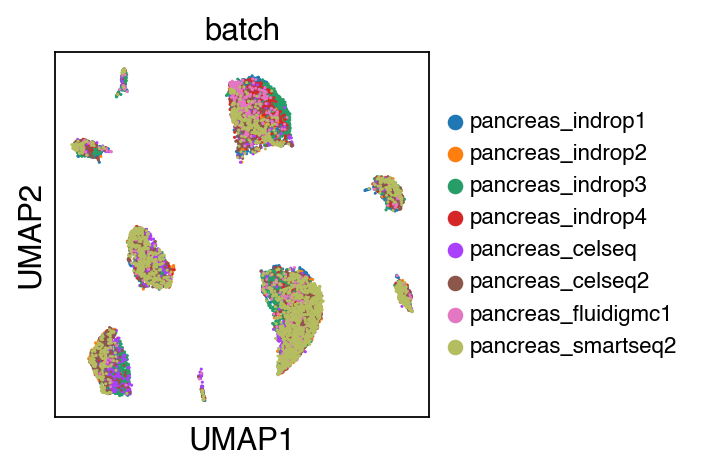 ../_images/tutorial_Projection_pancreas_27_0.png
