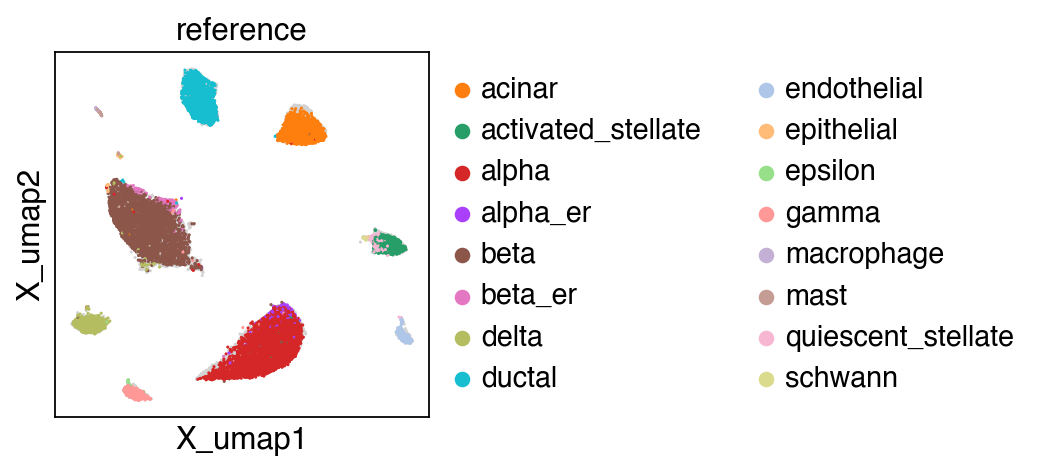 ../_images/tutorial_Projection_pancreas_38_0.png