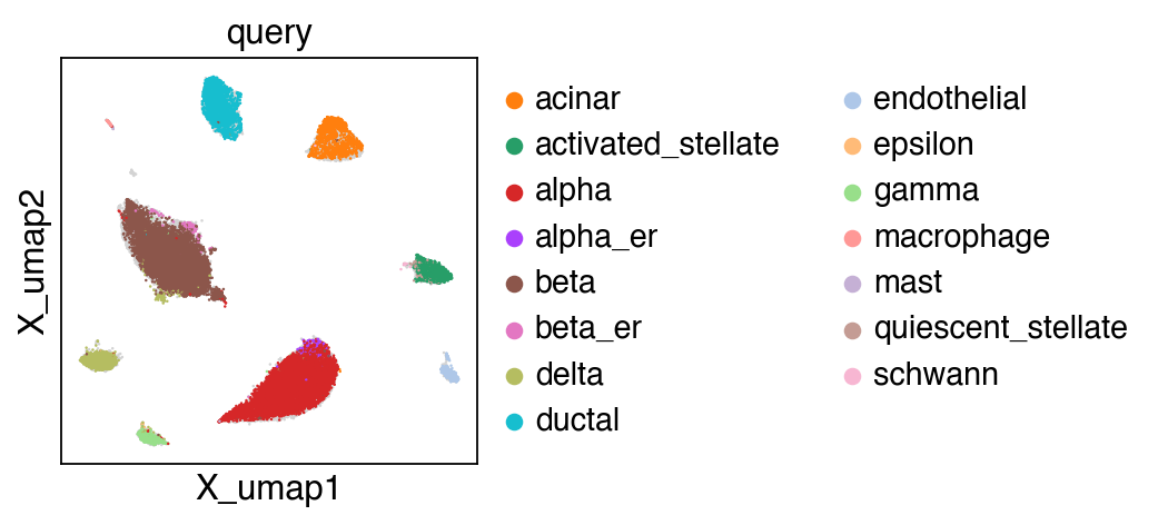 ../_images/tutorial_Projection_pancreas_38_1.png