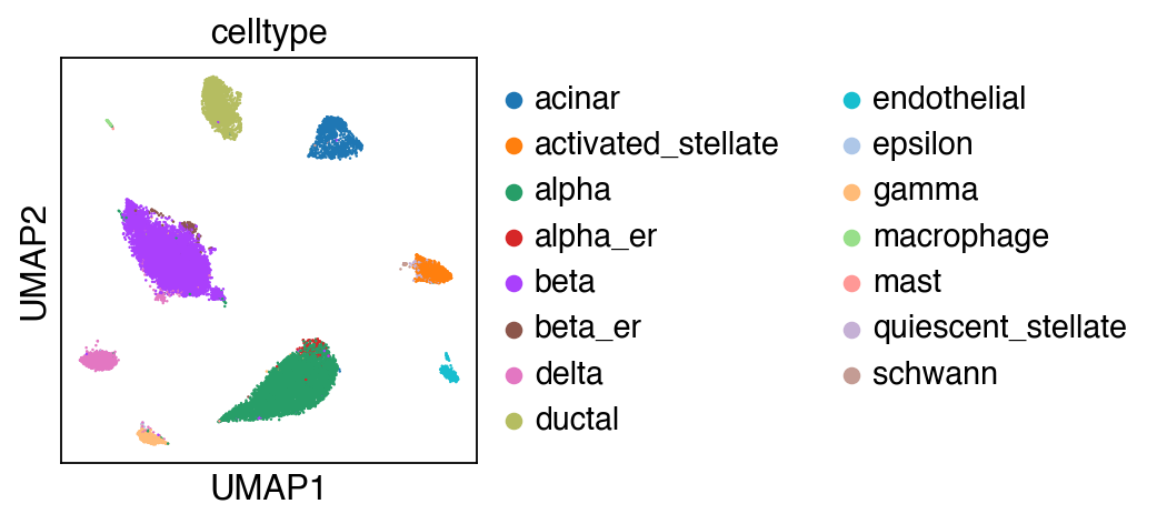 ../_images/tutorial_Projection_pancreas_51_0.png